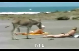 Latina ქალს უნდოდა მისი მეზობელი მისი ნახვა
