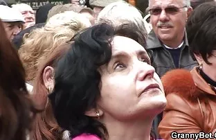 ამ ორი მეზობლის მეგობრობა მართლაც მოკრძალებულია
