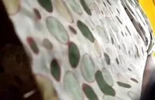 Jasmine Jae მოსწონს გიჟები for fucking მისი ახალი ბოსი